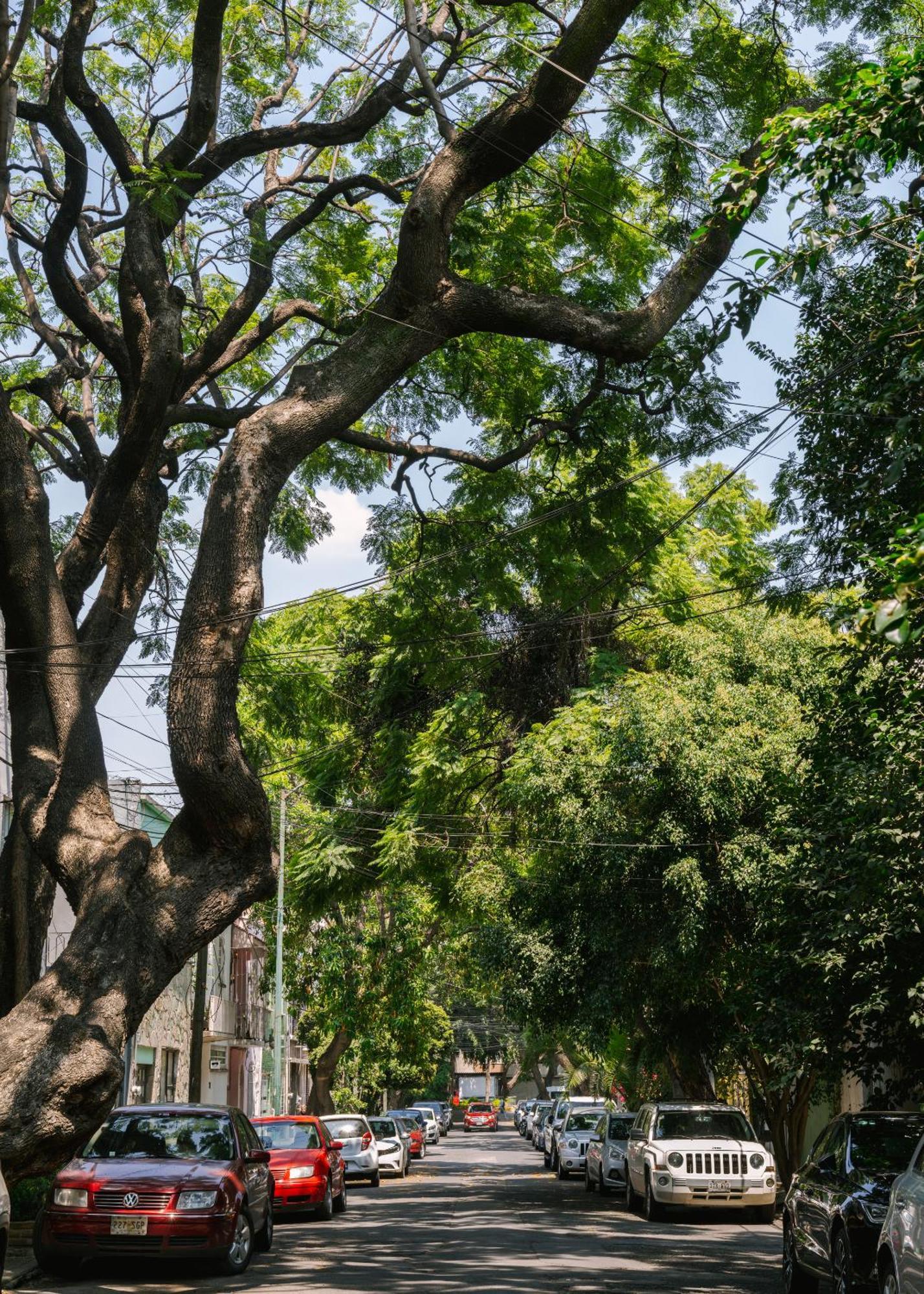 Sonder Miravalle Мехико Экстерьер фото